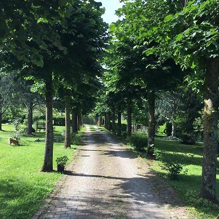 Le Mulina Villa บาร์เบริโน ดิ มูเจลโล ภายนอก รูปภาพ